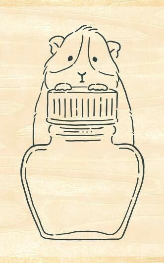 Ink's Love Pot Guinea Pig