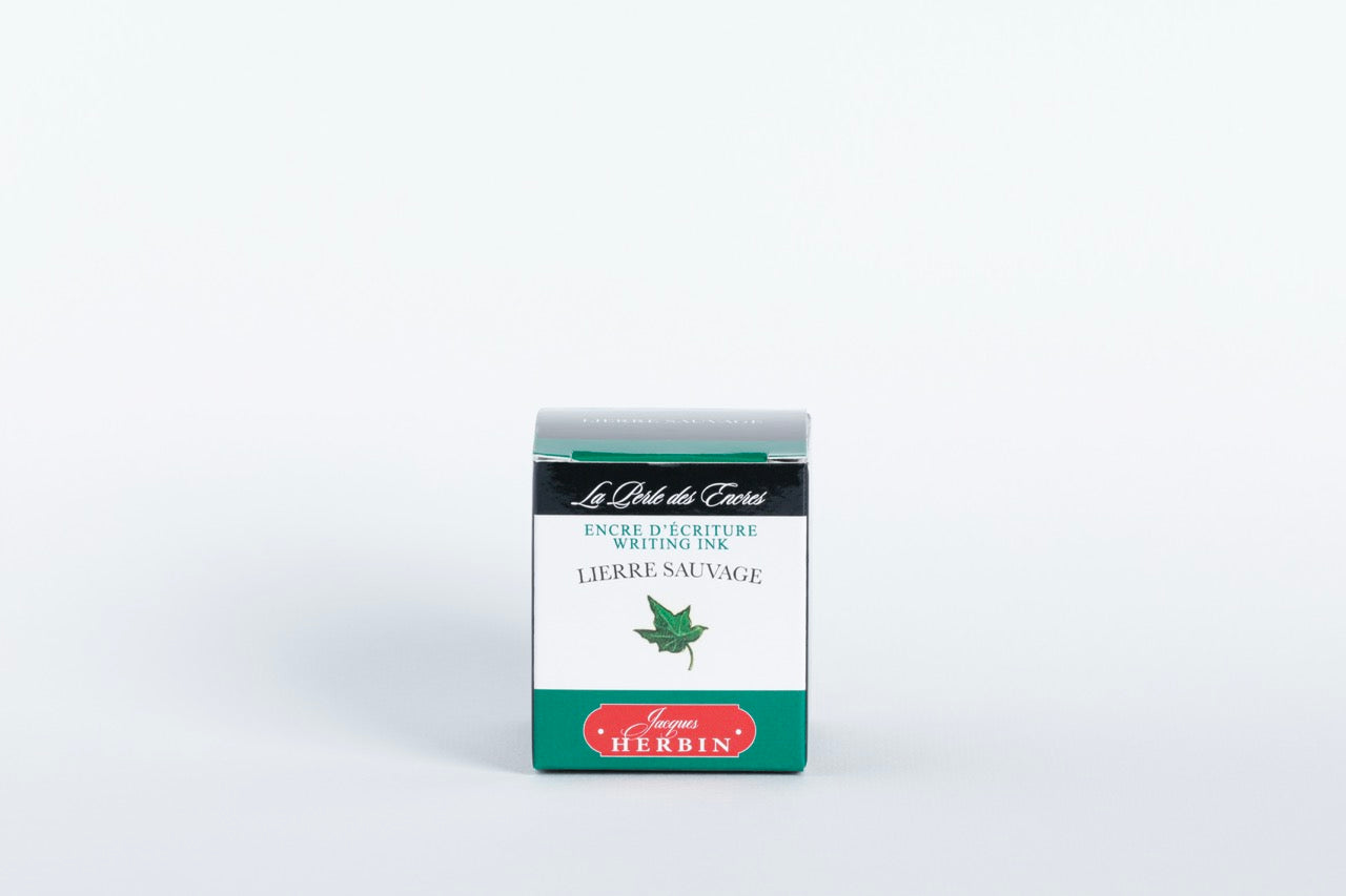 Wild Ivy (Lierre Sauvage)