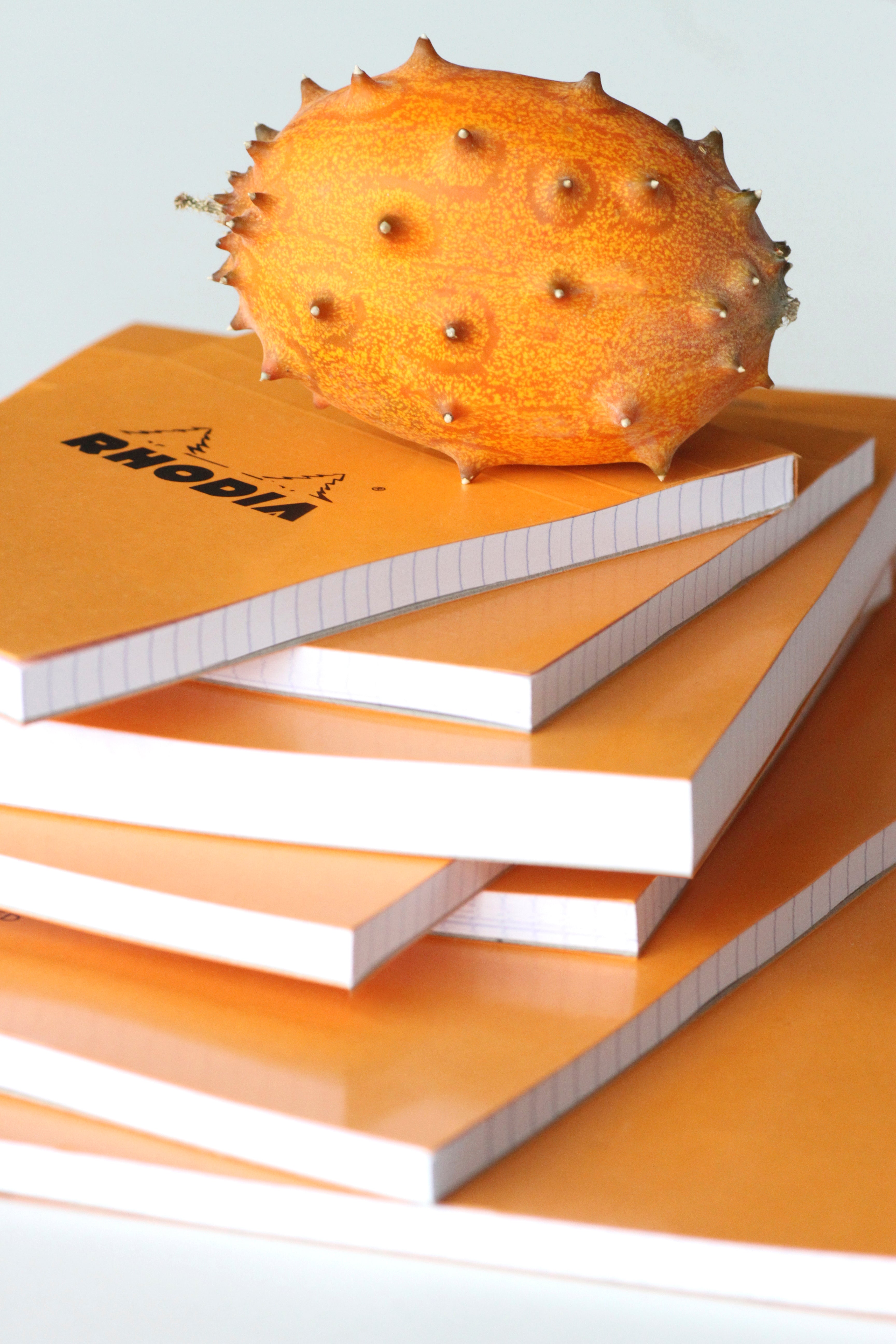 N° 14 Orange Pad