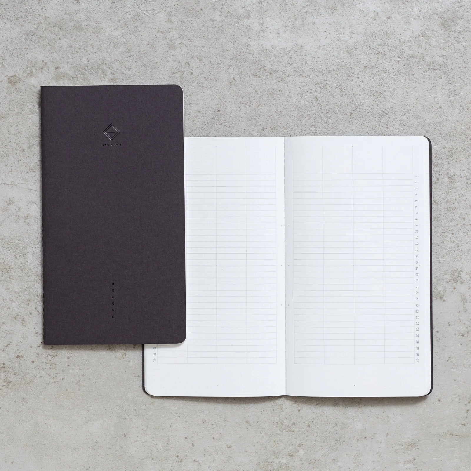 "RECORD" - LITE Project Planner