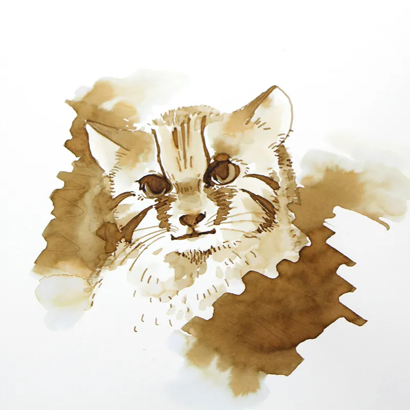 Tsushima Yamaneko Brown