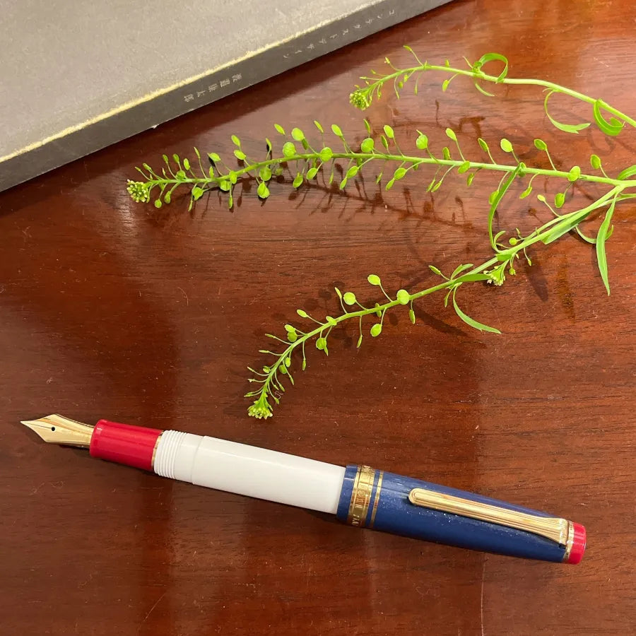 Magical Pen Makes Wishes Come True