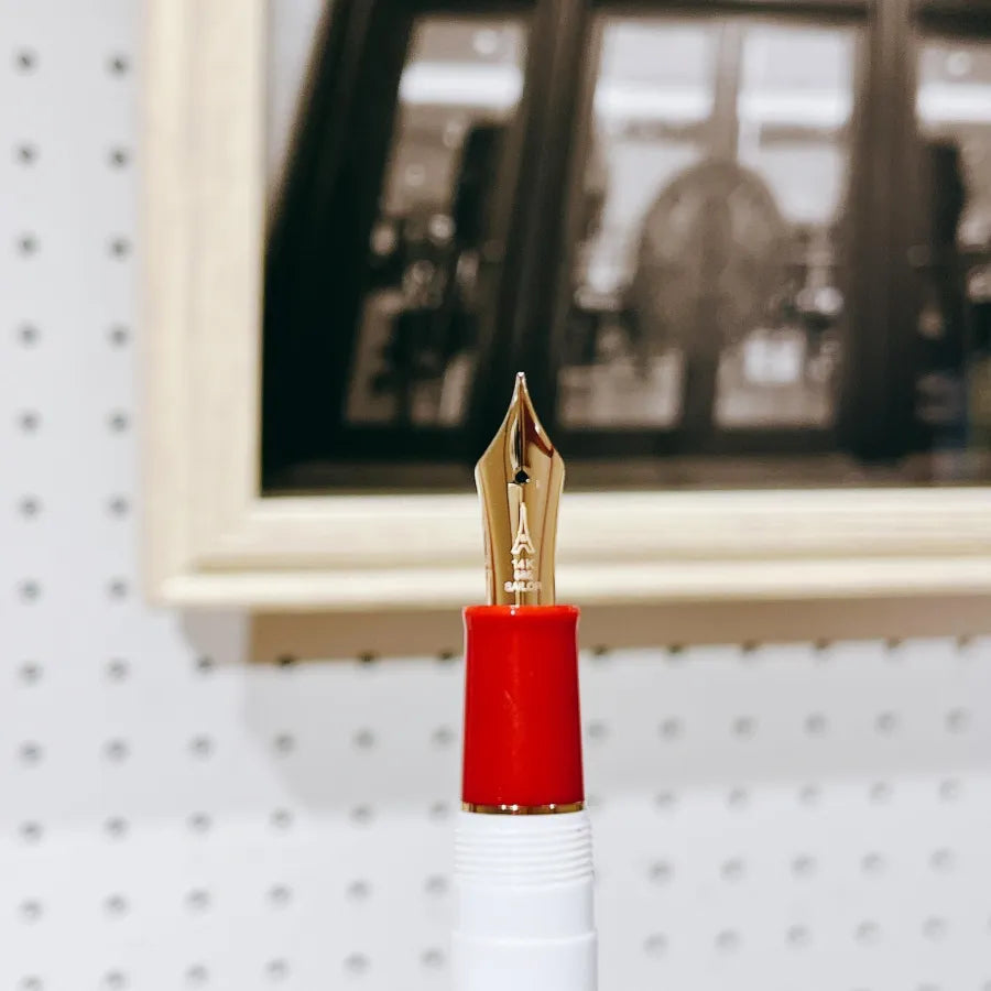 Magical Pen Makes Wishes Come True