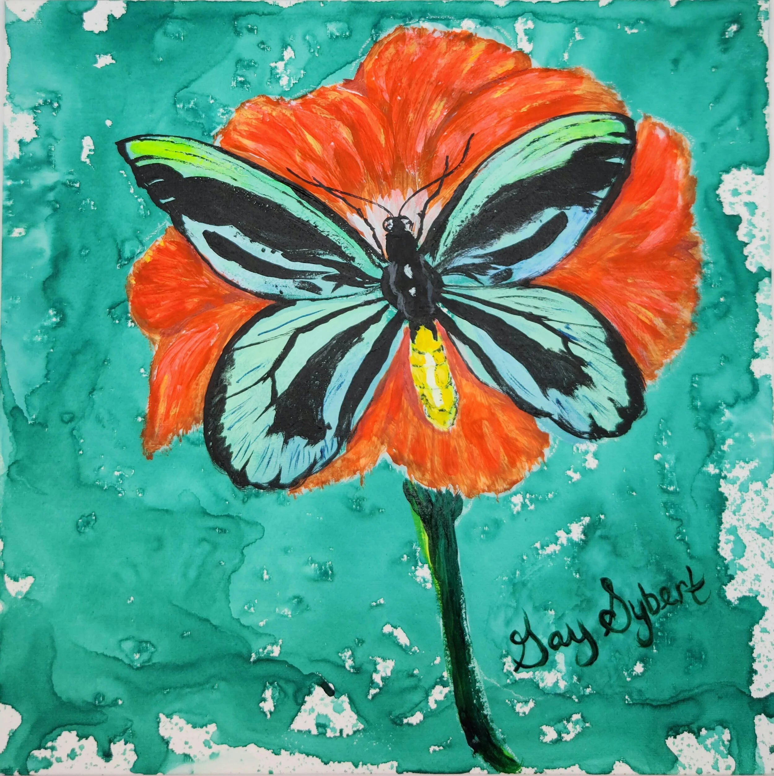 Queen Alexandra's Birdwing Butterfly Green