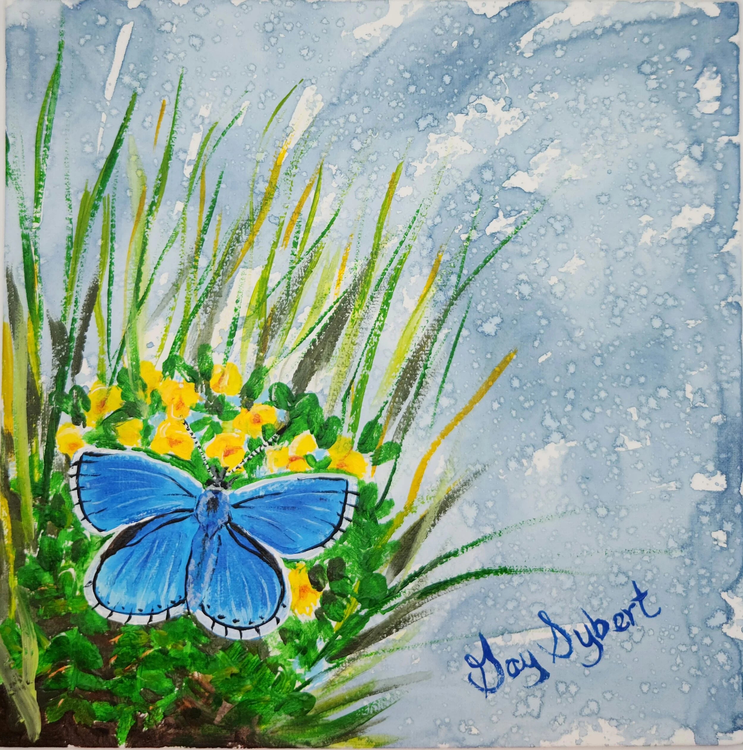 Adonis Butterfly Blue