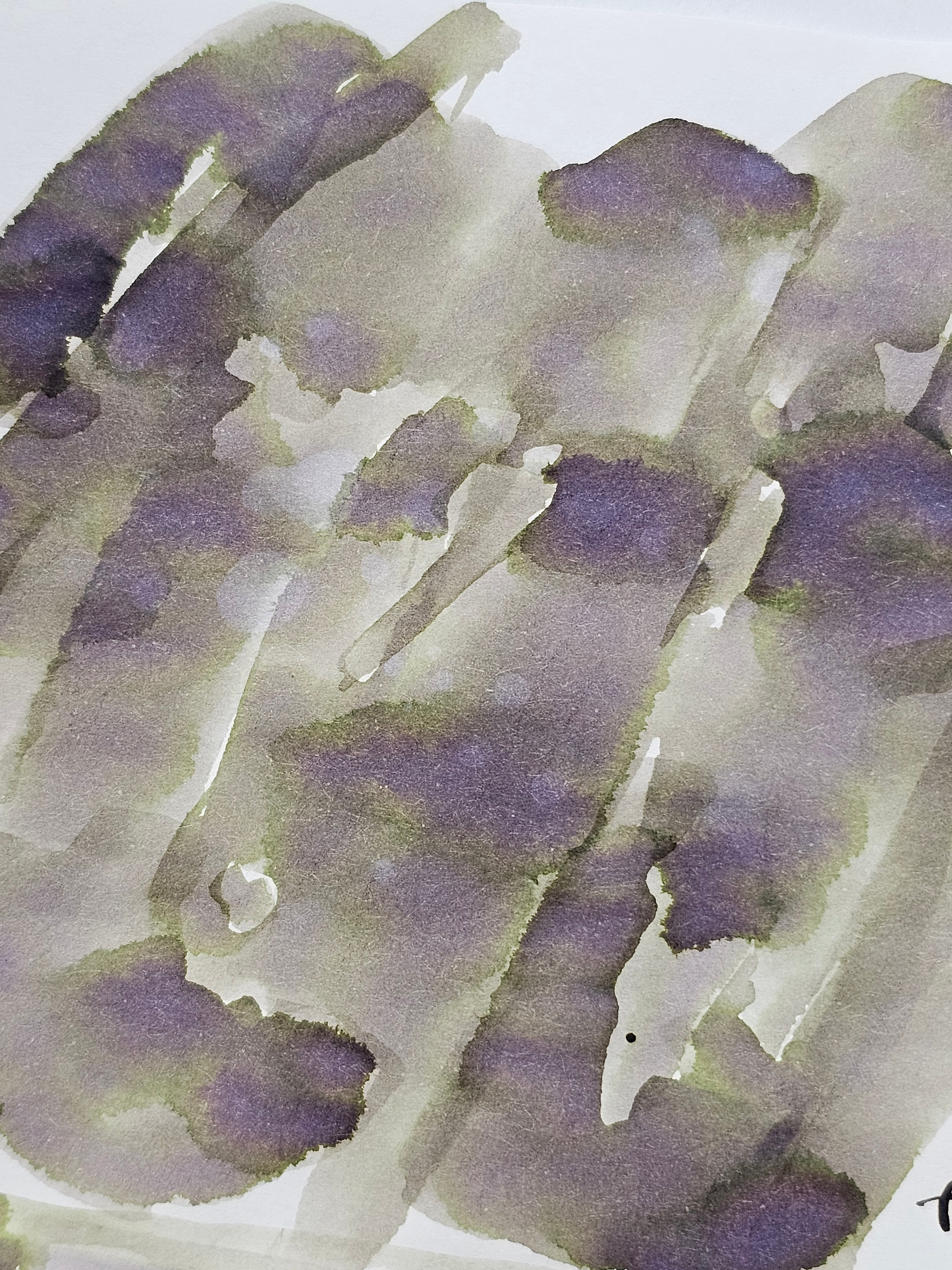 The Cat Bridge (Monthly Ink Series July 2026)