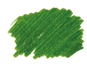 Kobe INK No.34 Sorakuen Tea Green