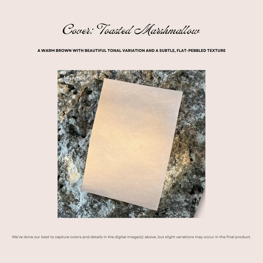 Traveler's Notebook Grid Inserts