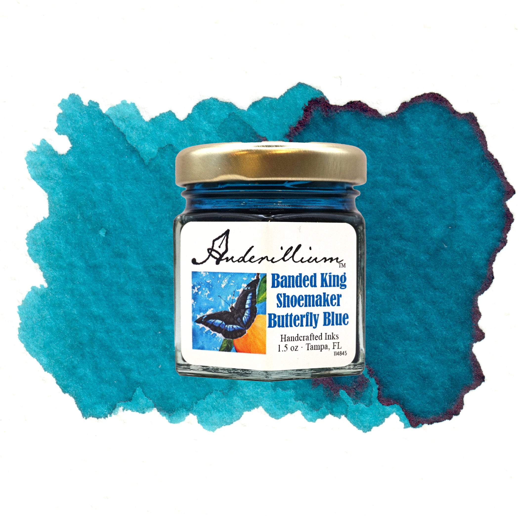 Banded King Shoemaker Butterfly Blue