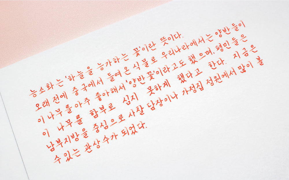 Bukchon's Daecheong Maru & Seochon's Neungso Hwa