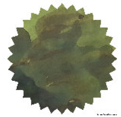 Crocodile Green