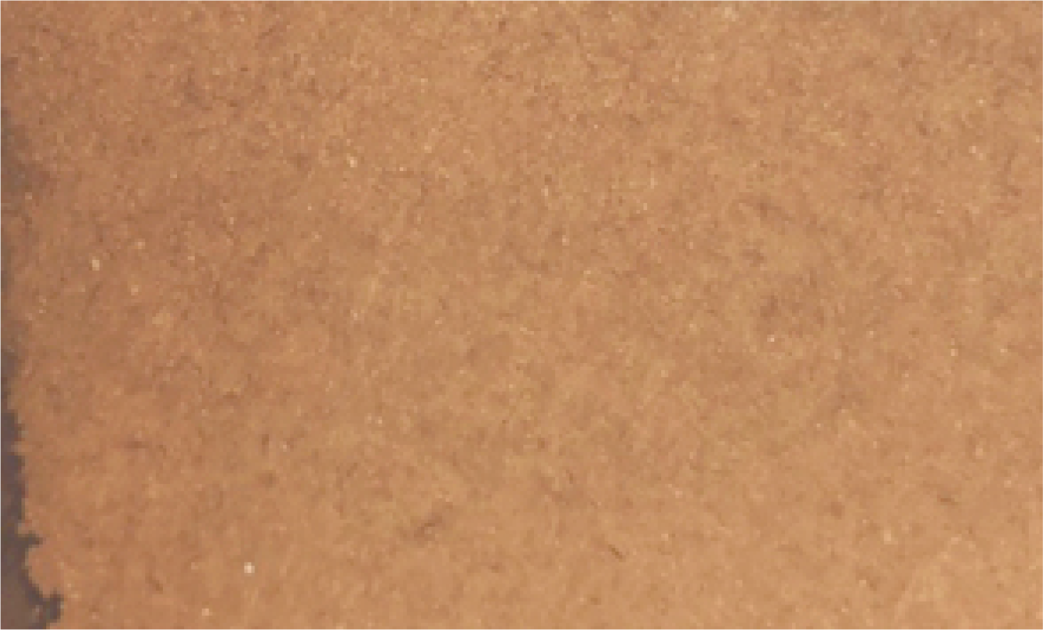 Sahara Tan (Hunters Ink)