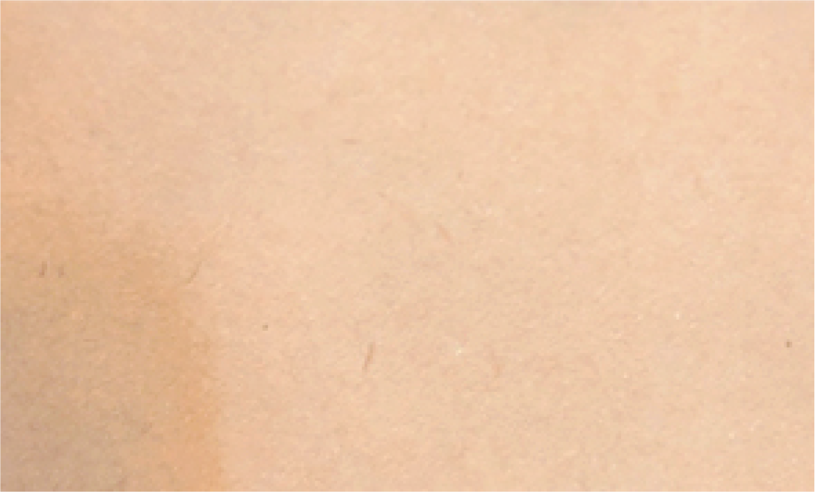 Sand Beige (Hunters Ink)