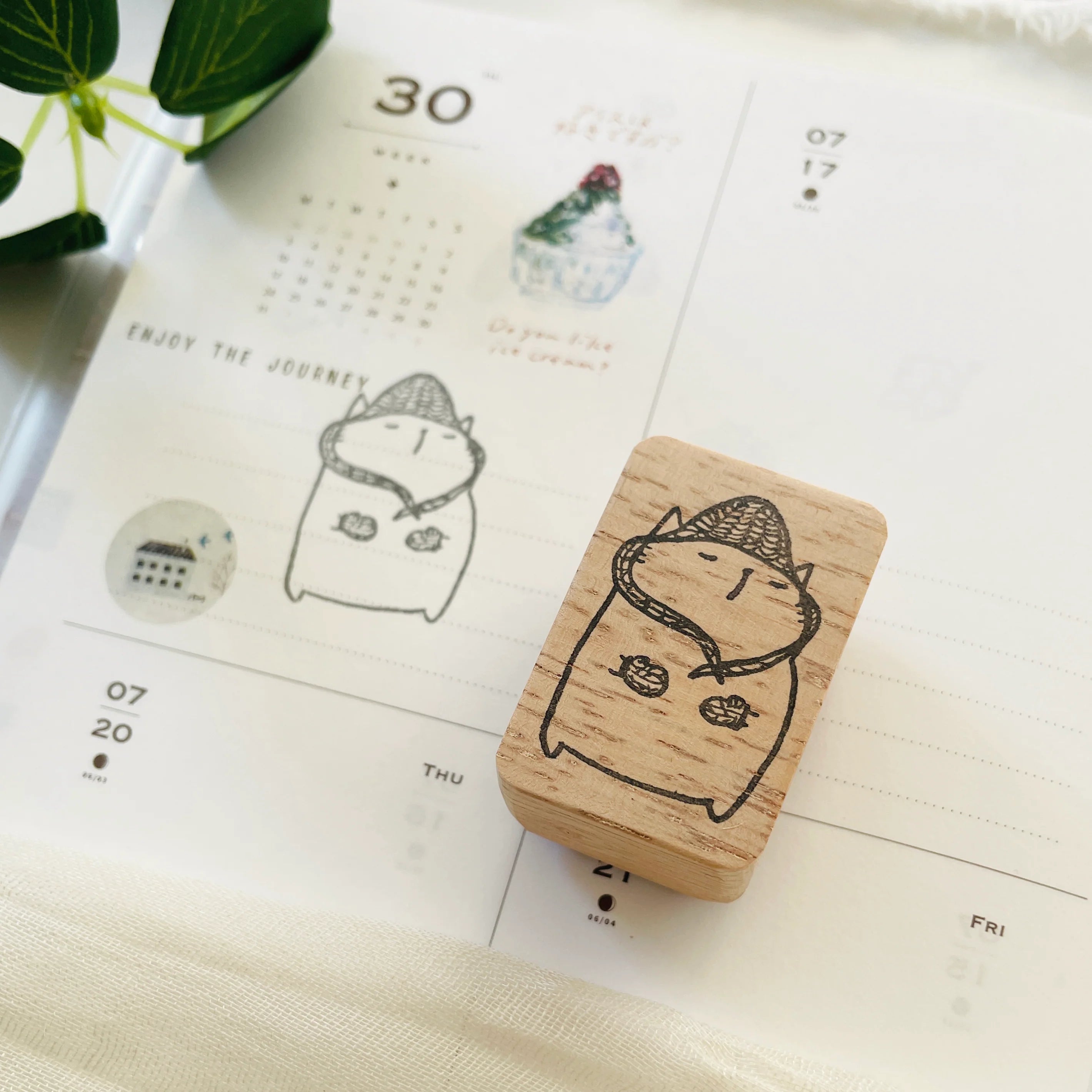 Knit Hat and Mitten Cat