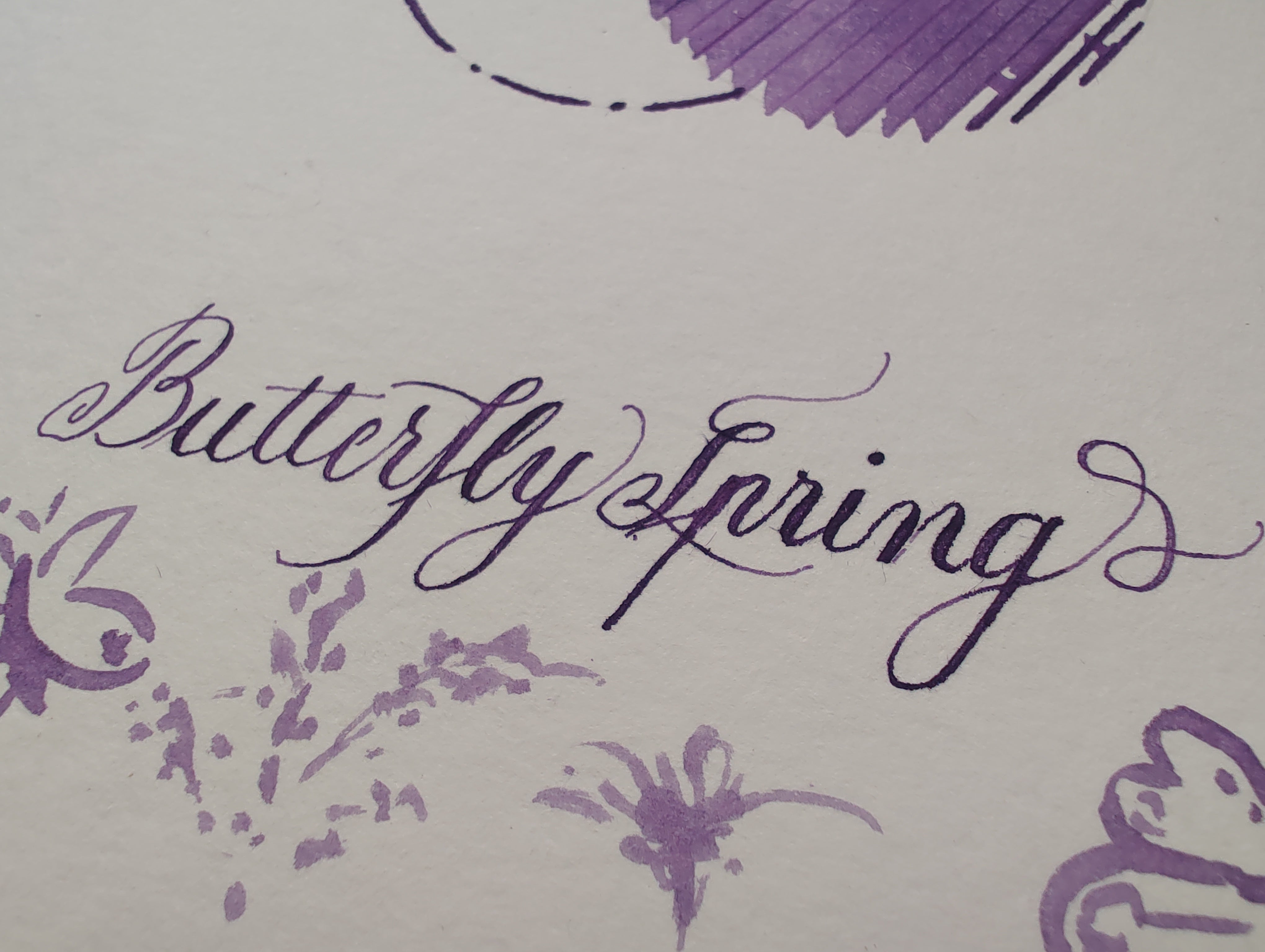 Butterfly Spring