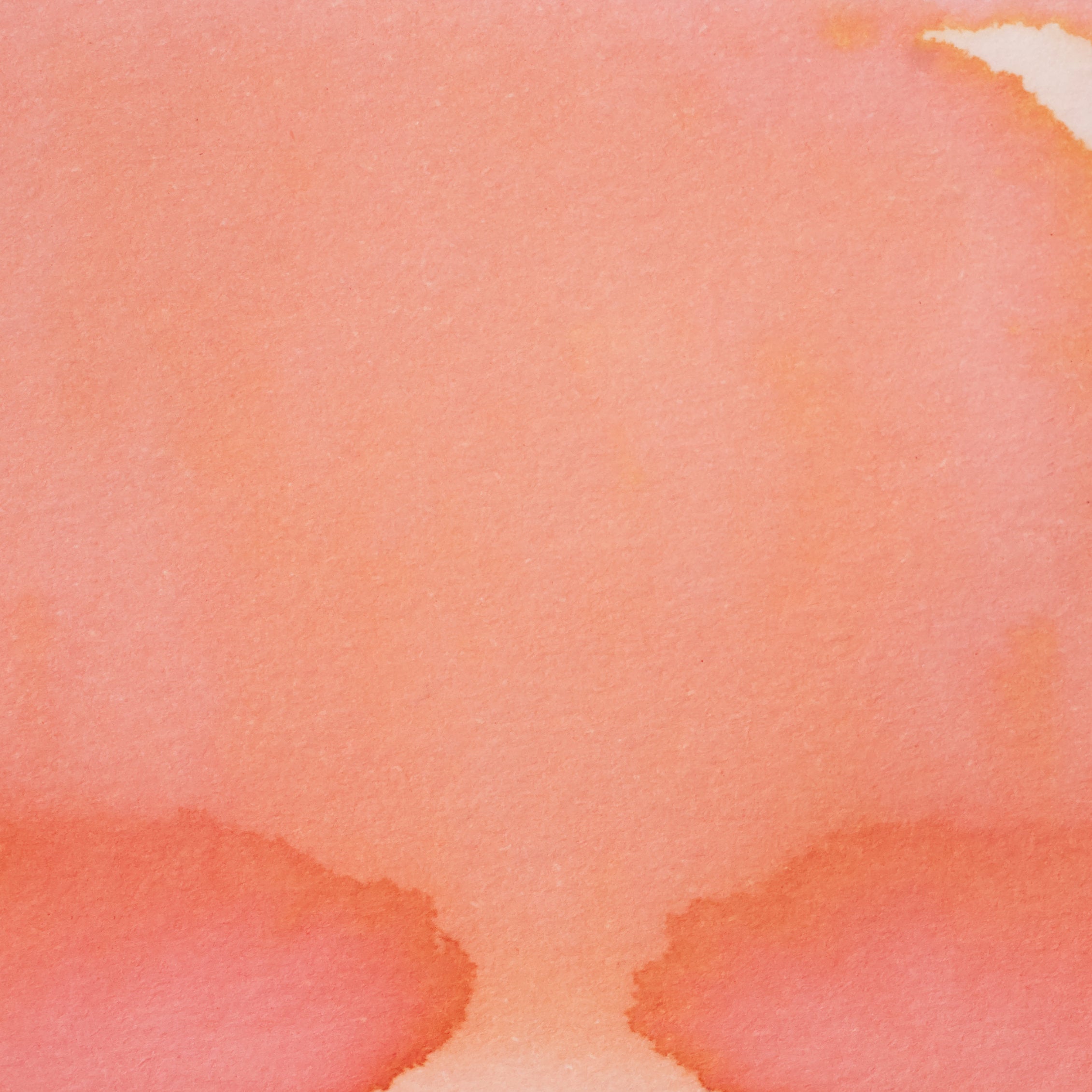 Bubblegum (Ragi)