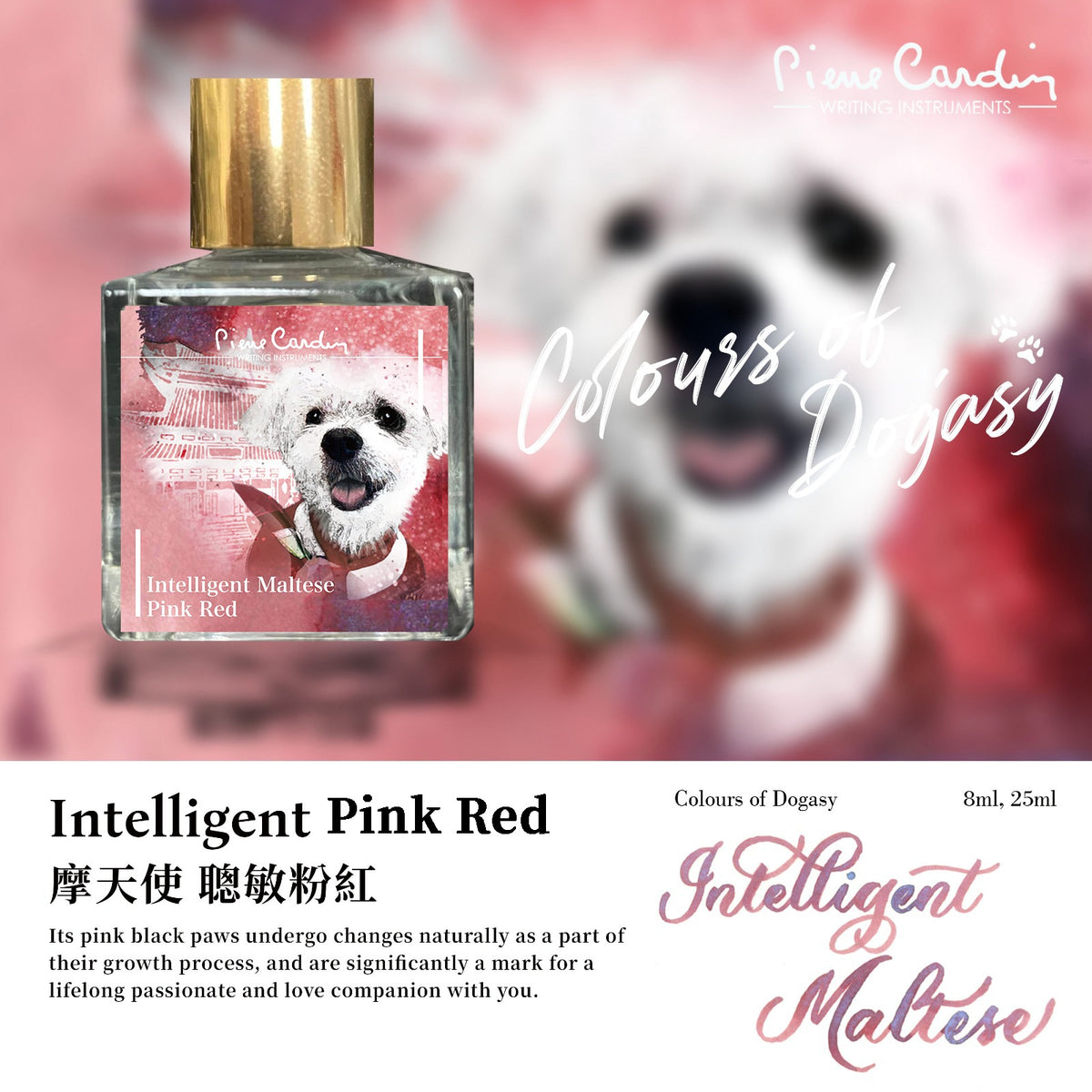 Intelligent Maltese Pink Red
