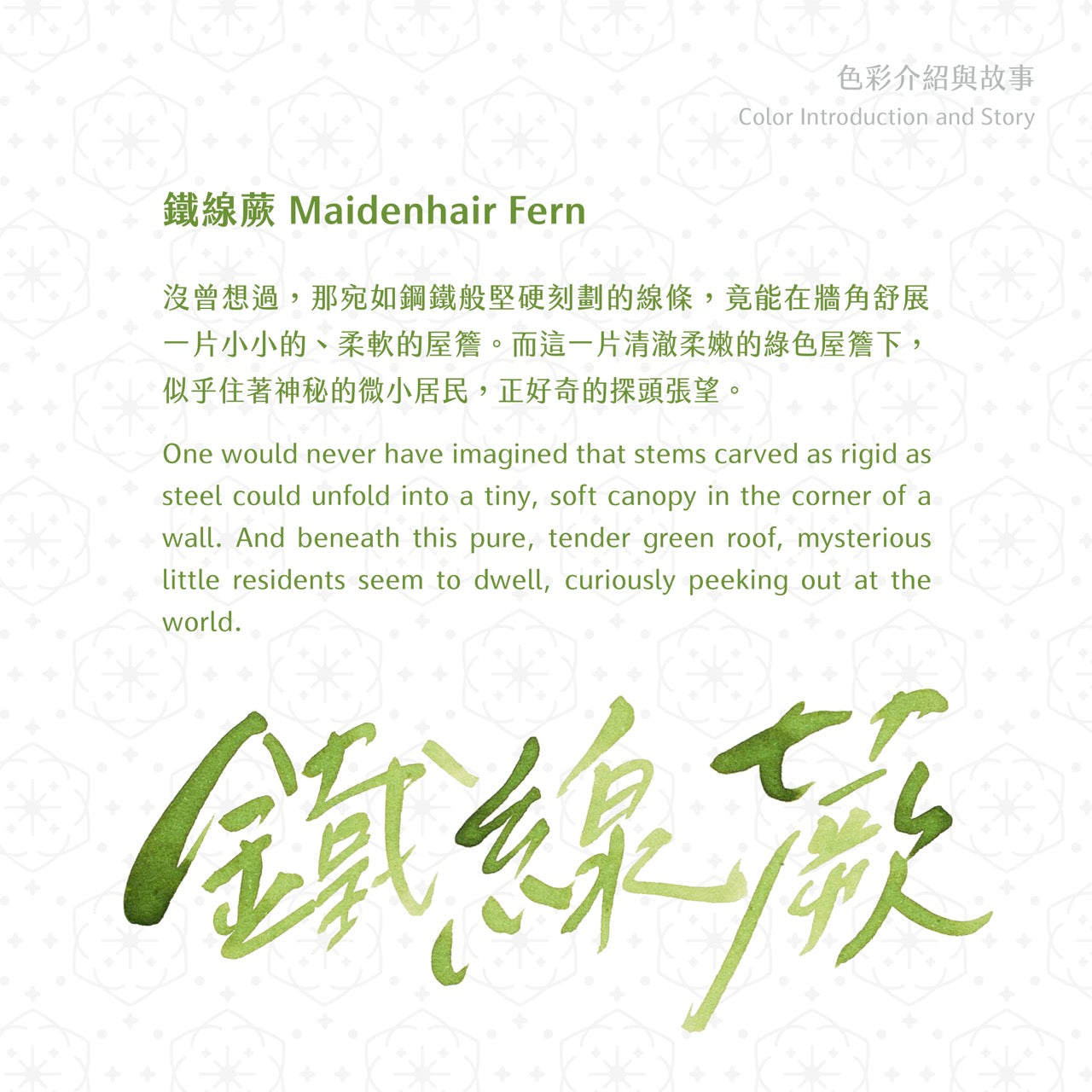 2026 Spring Limited Ink- Maidenhair Fern
