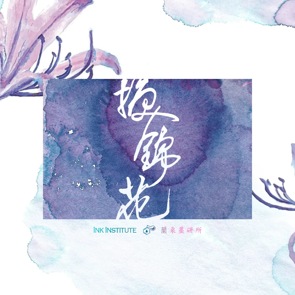 Meander - Electric Blue Spider Lily 換錦花