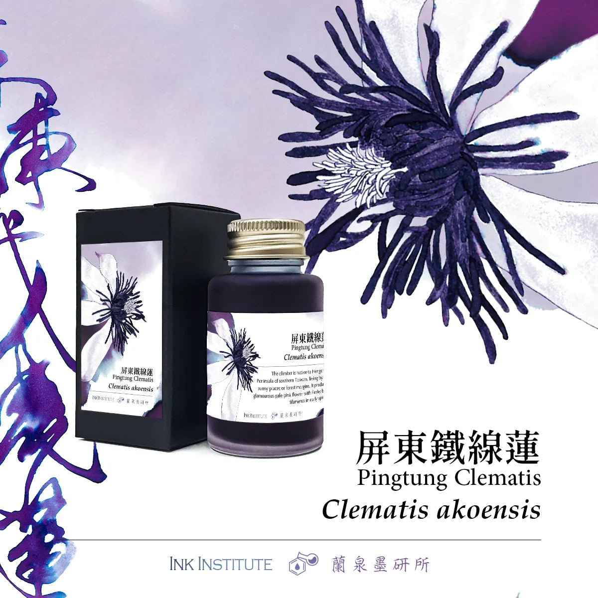 Meander - Pingtung Clematis 屏東鐵線蓮
