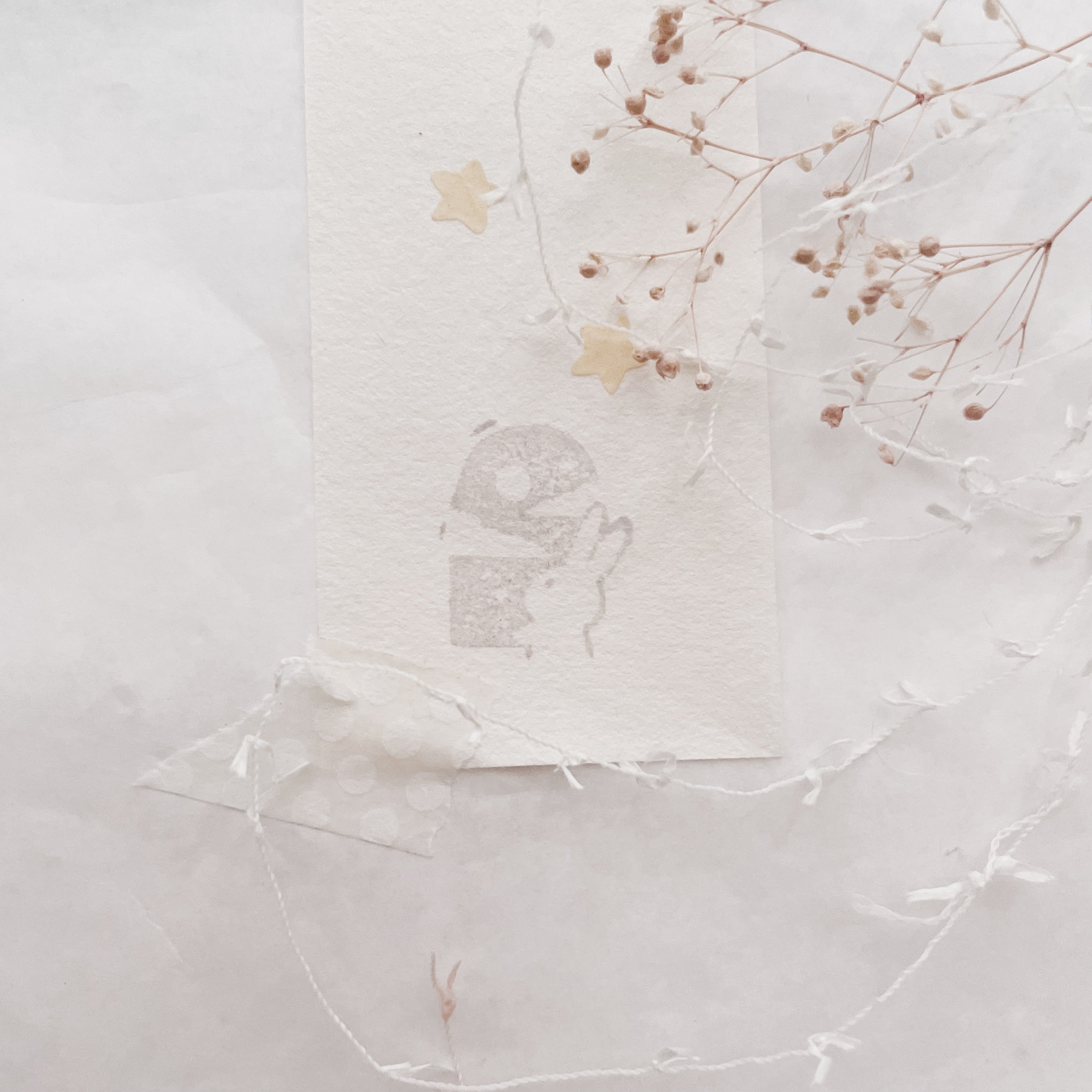 Moon Through the Window (Rabbit Version)