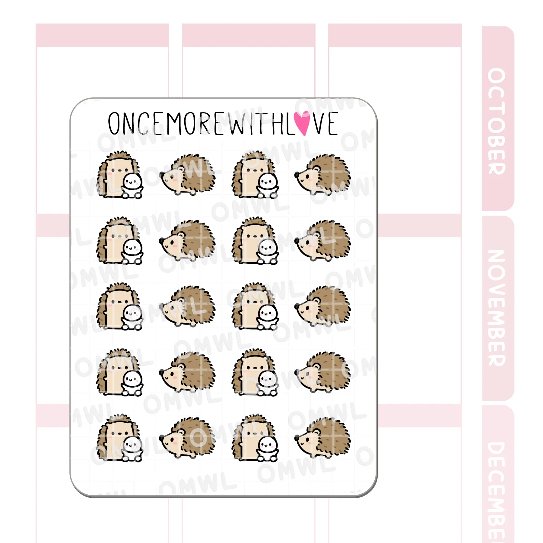 Hedgehogs