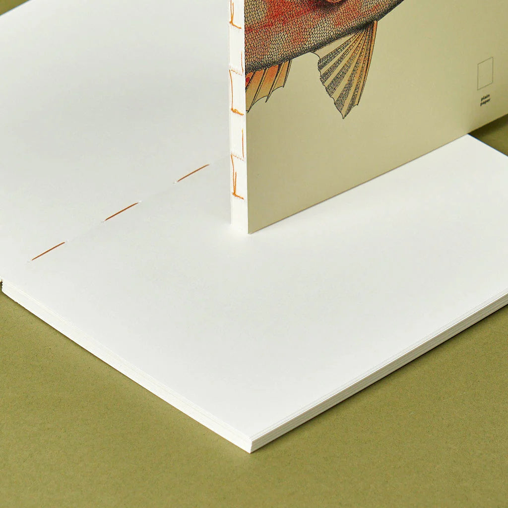 book refill x The Dybdahl Co. reef