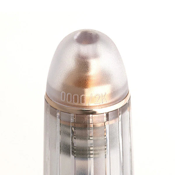 Platinum #3776 Century Fountain Pen Nice (Rose)