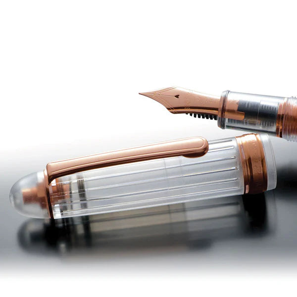 Platinum #3776 Century Fountain Pen Nice (Rose)