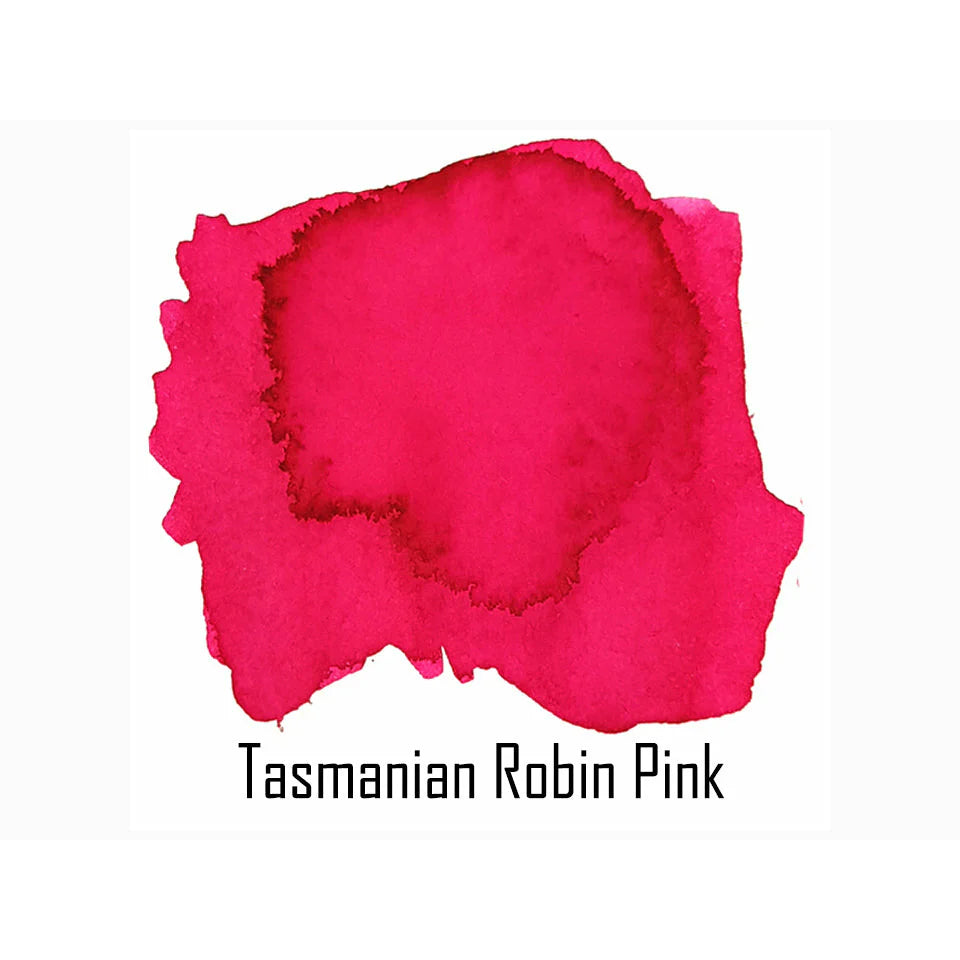 Tasmania - Pink Robin