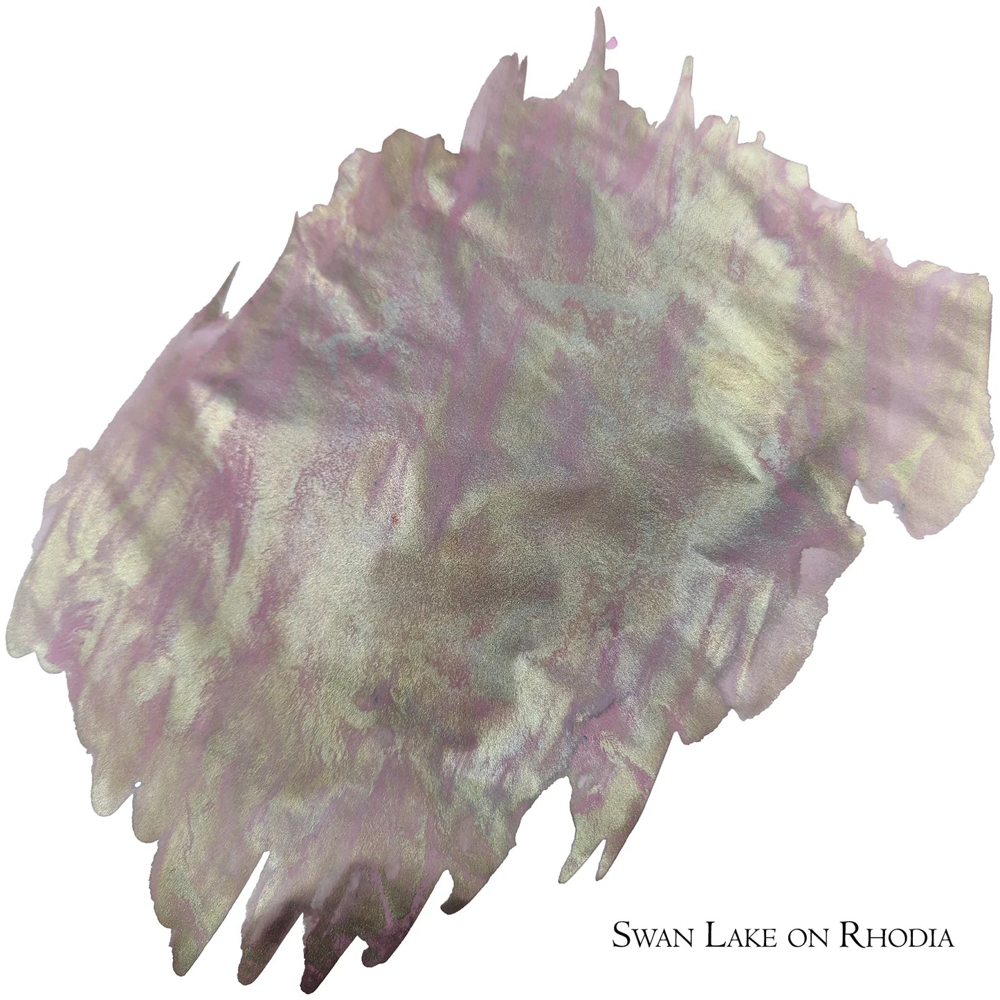 Encore - Swan Lake