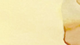 Sweet Corn (Basic Ink)