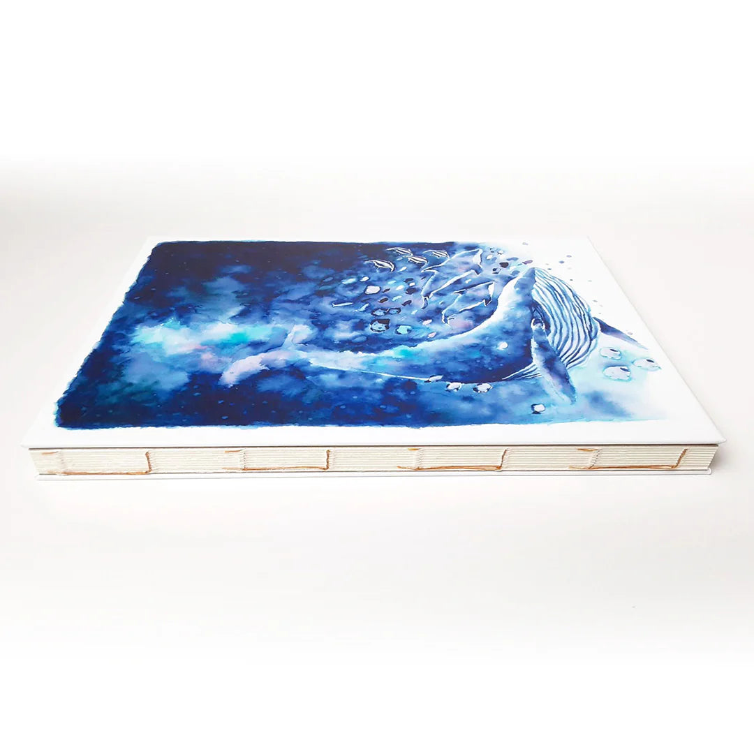 Swim/Fly in Space (Date)