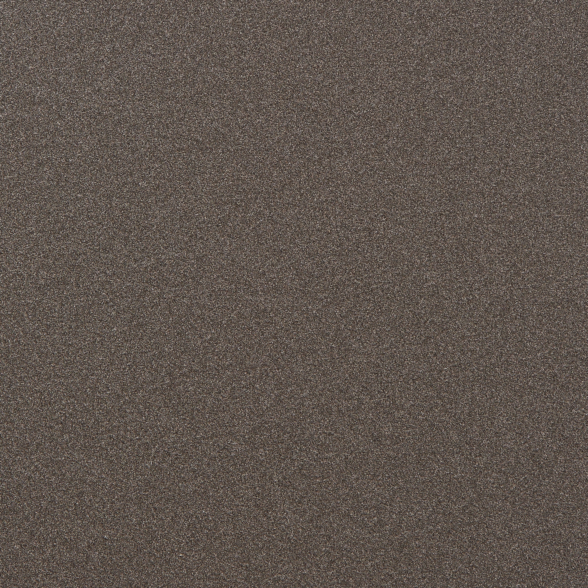 Trunk Shape Toolbox (Titanium)