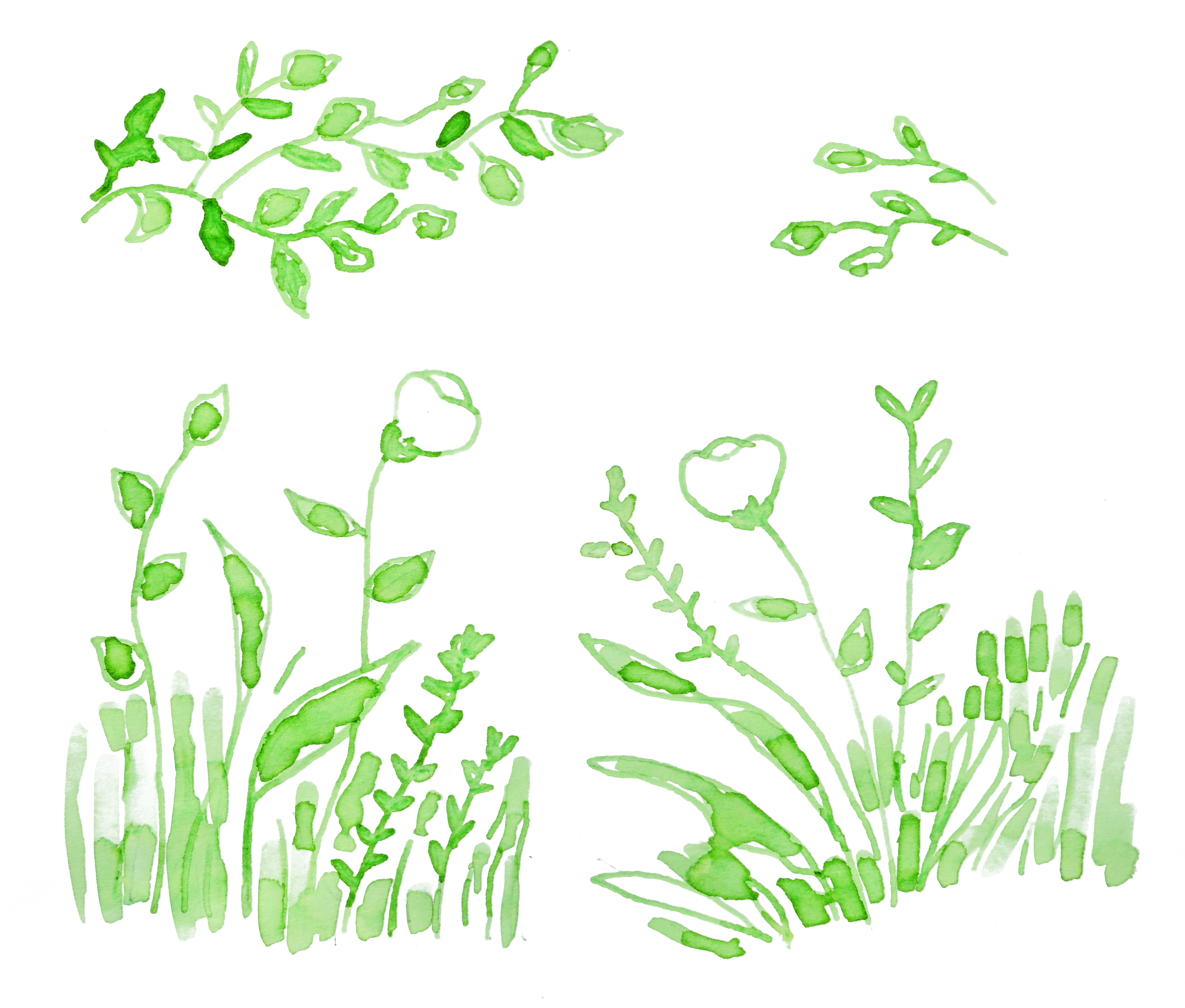 The Scent of Grass (HPY Ink)