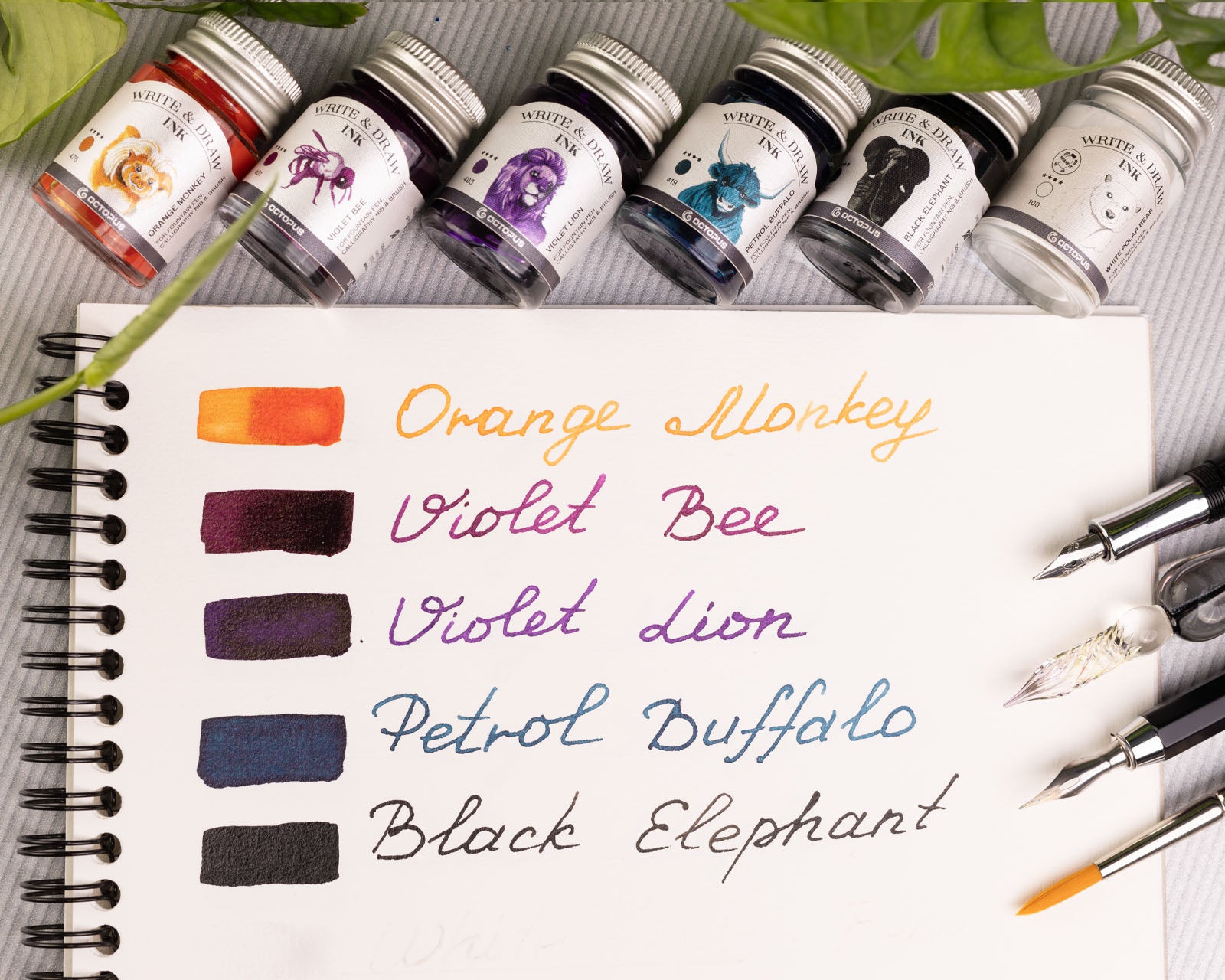 Write and Draw Ink Set (Basic Mix)