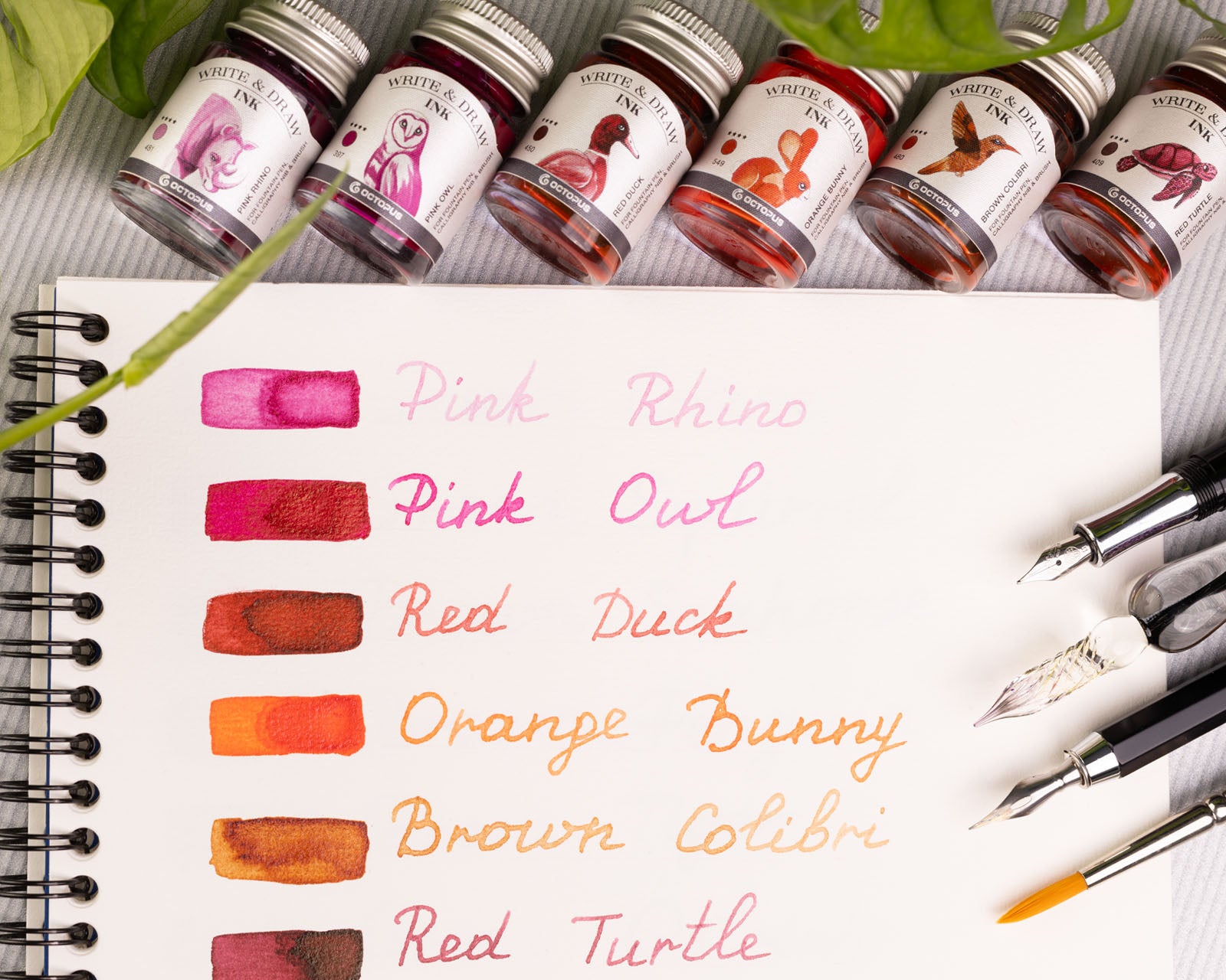 Write and Draw Ink Set (Desert)