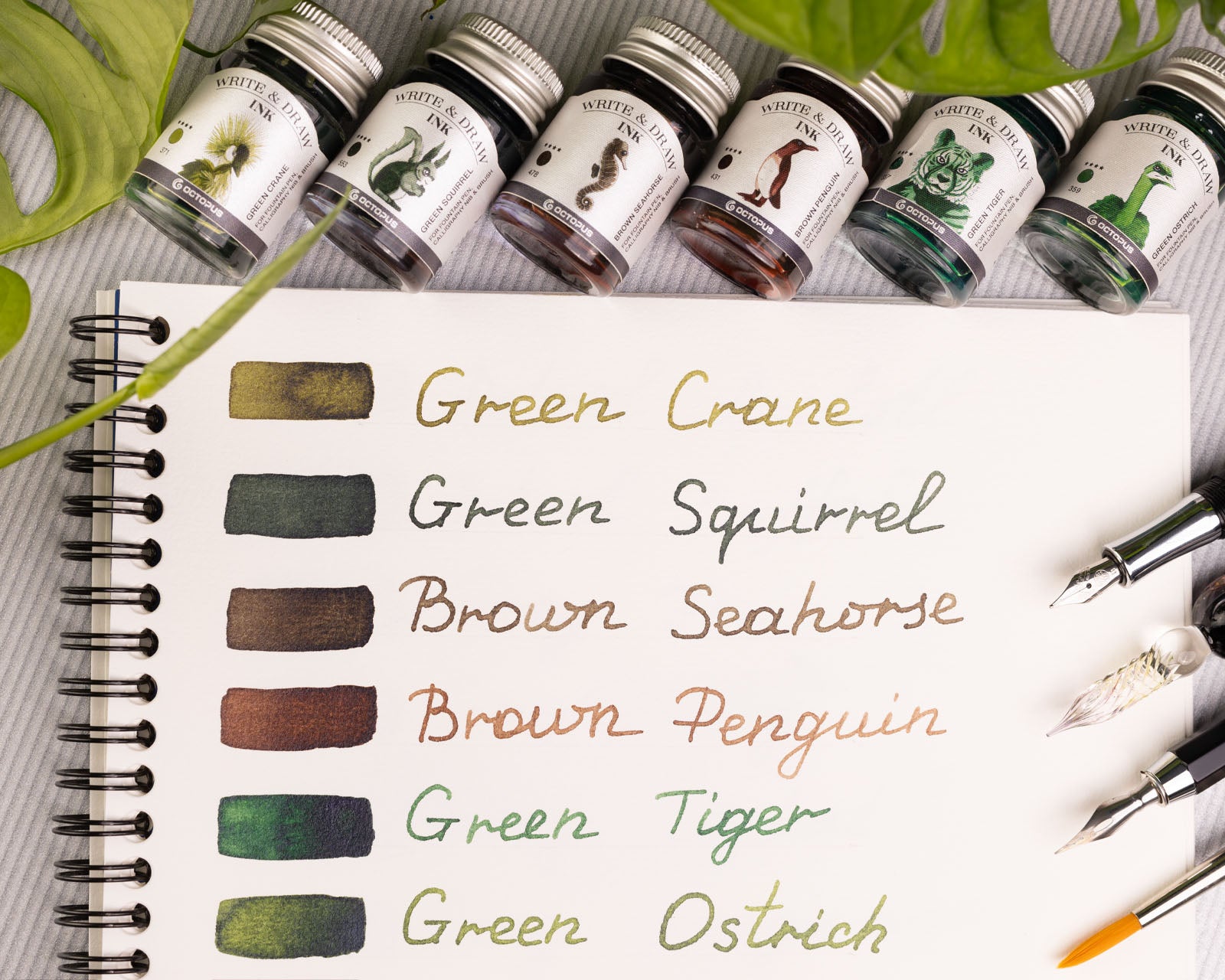 Write and Draw Ink Set (Forest)