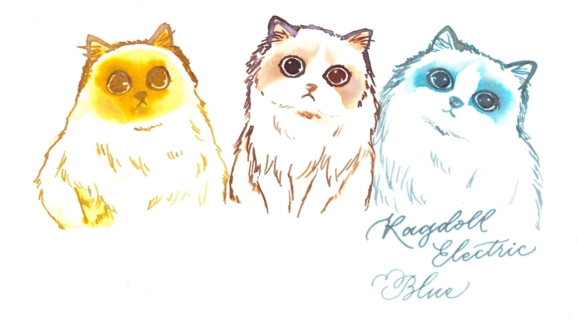 Colors of Catasy Ink Set
