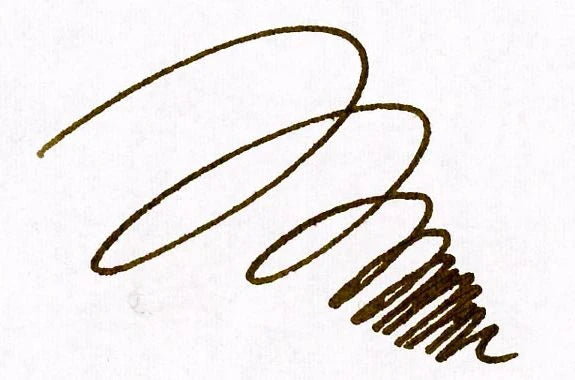 Kobe INK Special color Ginza Gold-Sepia