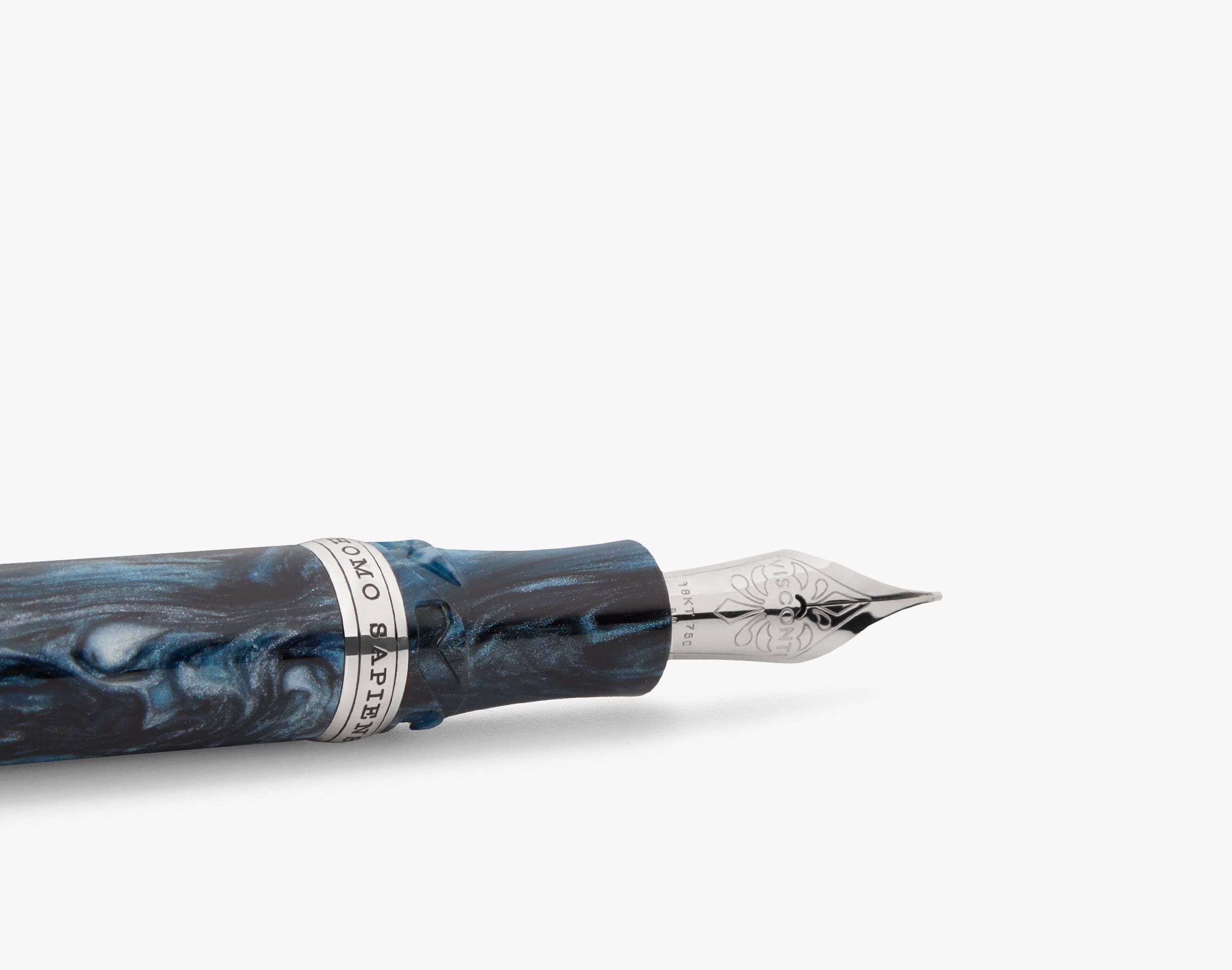 Homo Sapiens Dark Sapphire