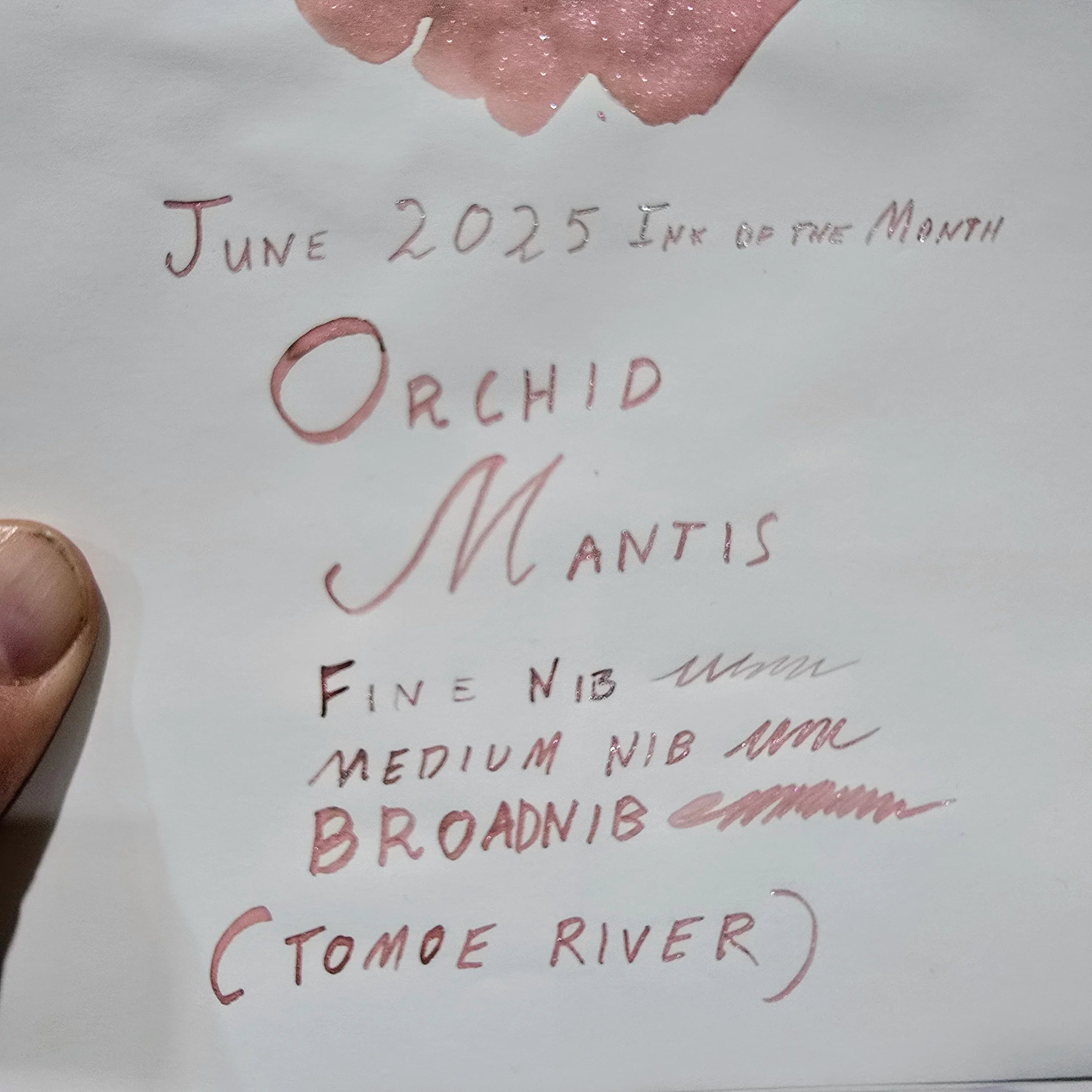 Van Dieman's Inks 2025 June - Orchid Mantis