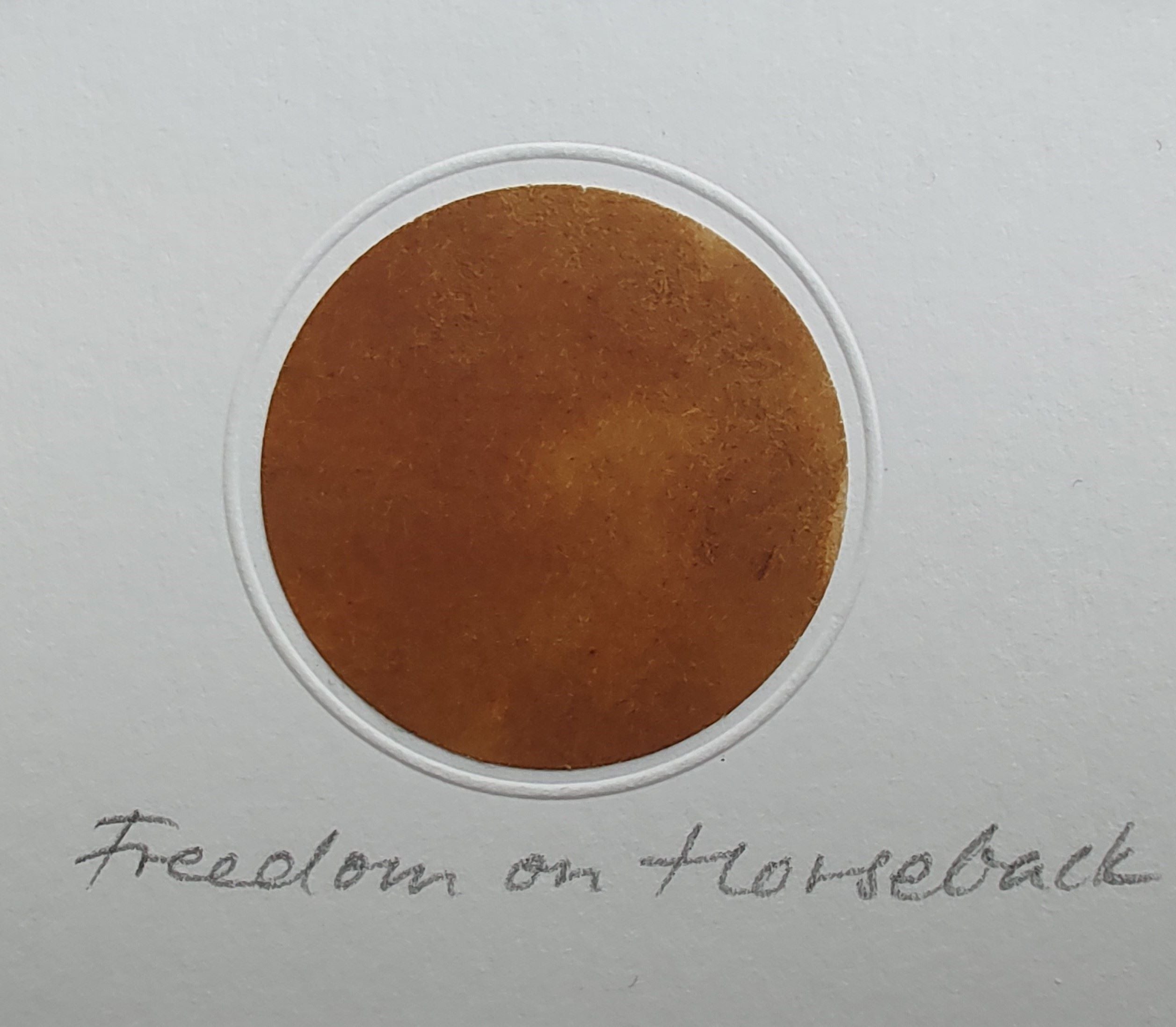Freedom on Horseback
