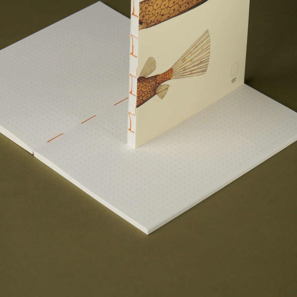 book refill x The Dybdahl Co. reef