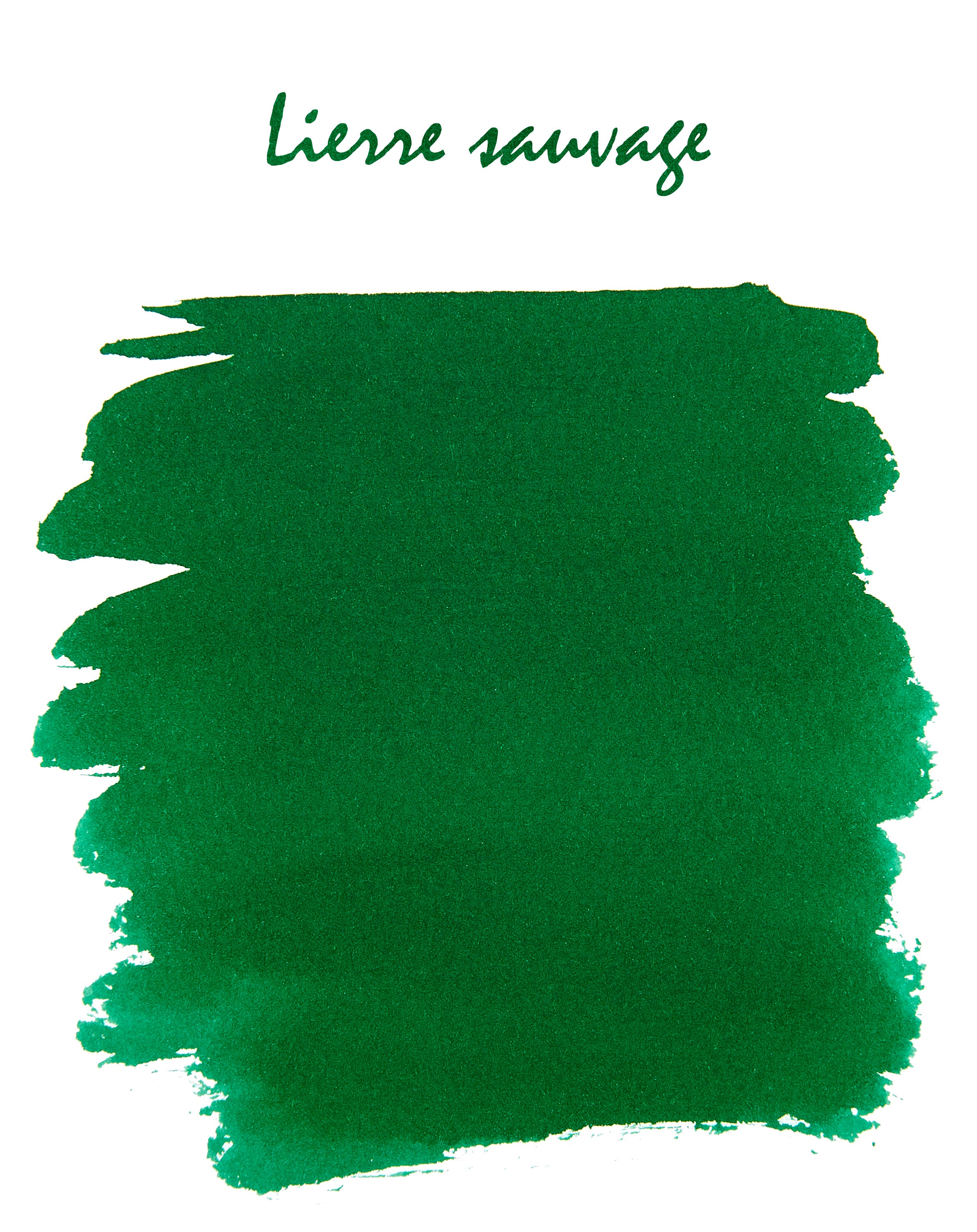 Wild Ivy (Lierre Sauvage)