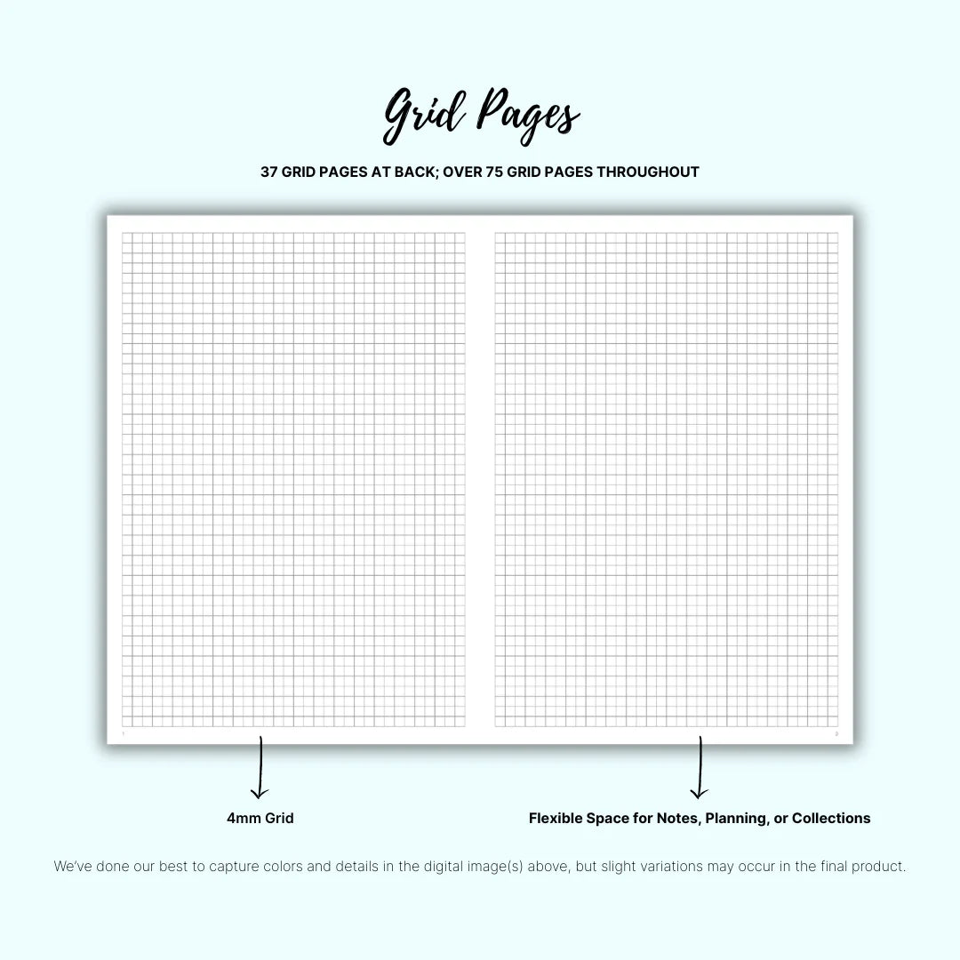 Plans - Weekly Focus