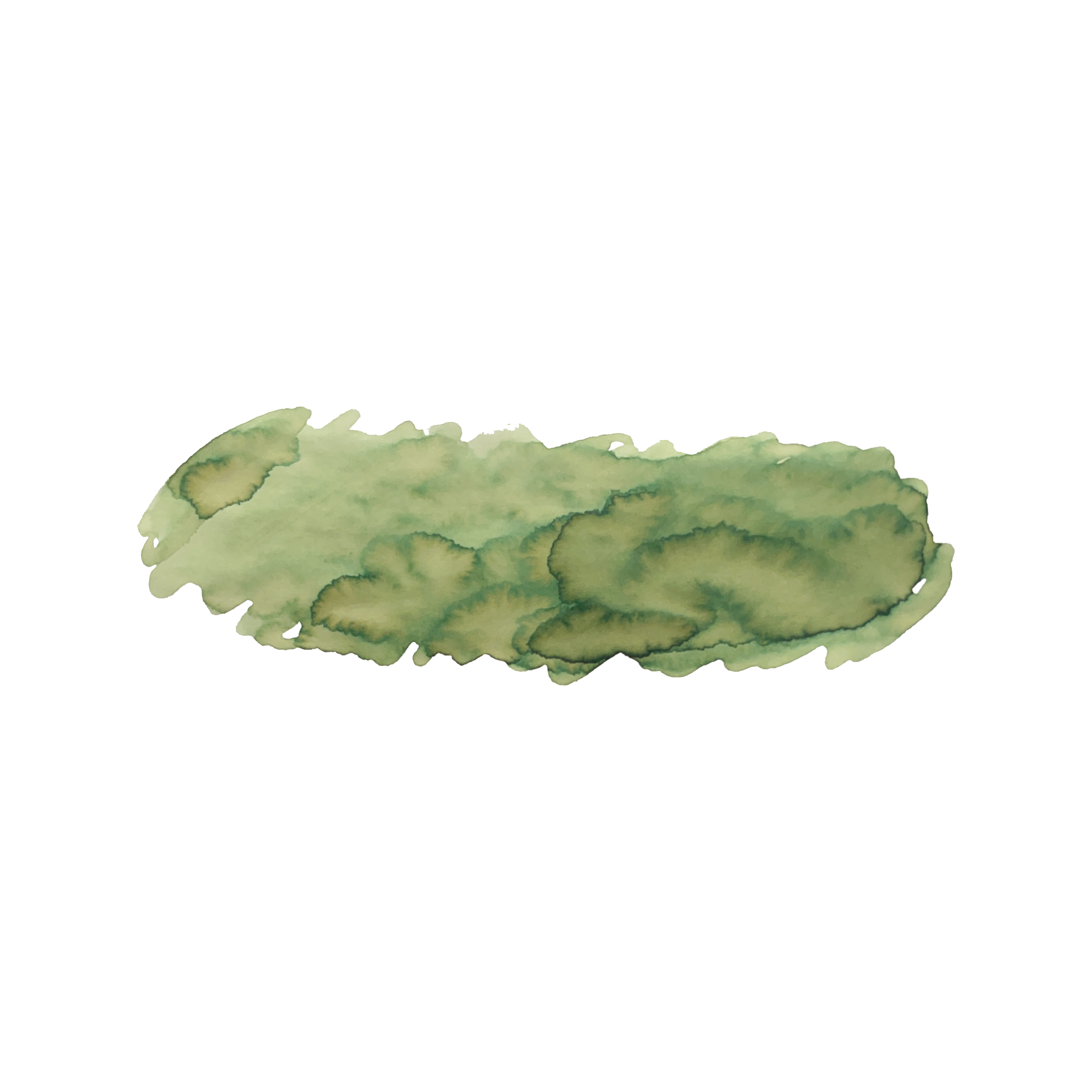 Pistachio