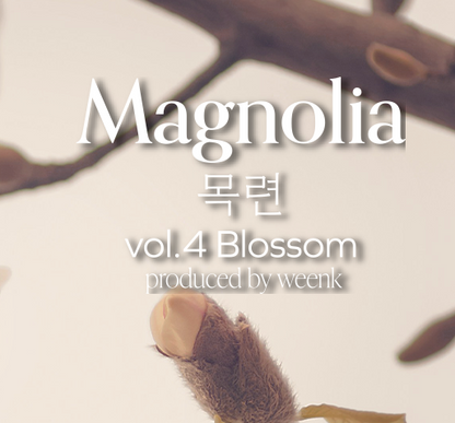 No.12 Magnolia