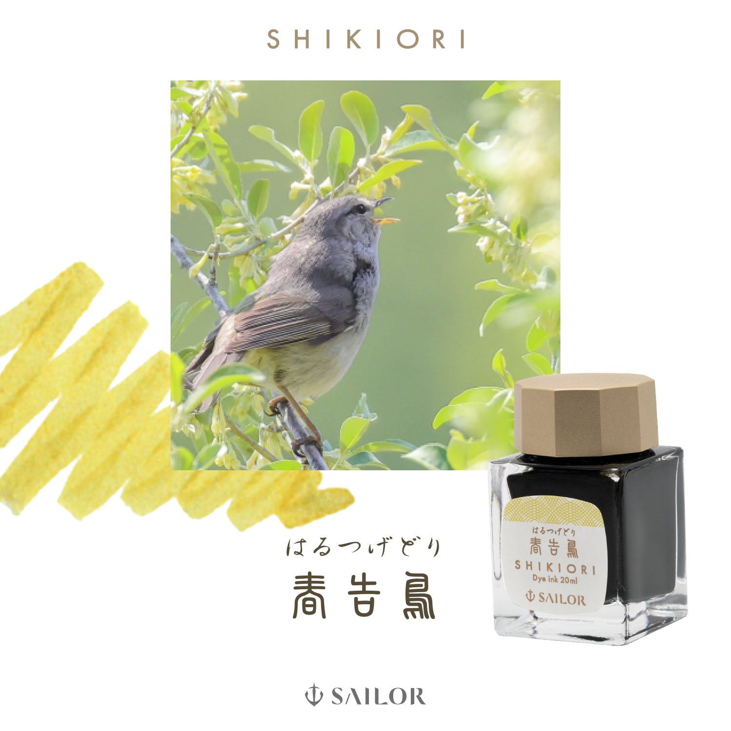 Shikiori Haru-tsuge-dori