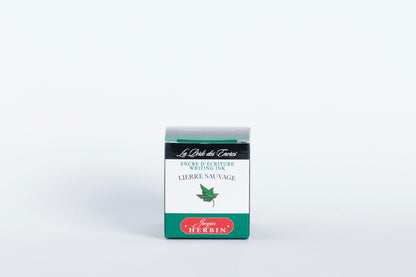 Wild Ivy (Lierre Sauvage)